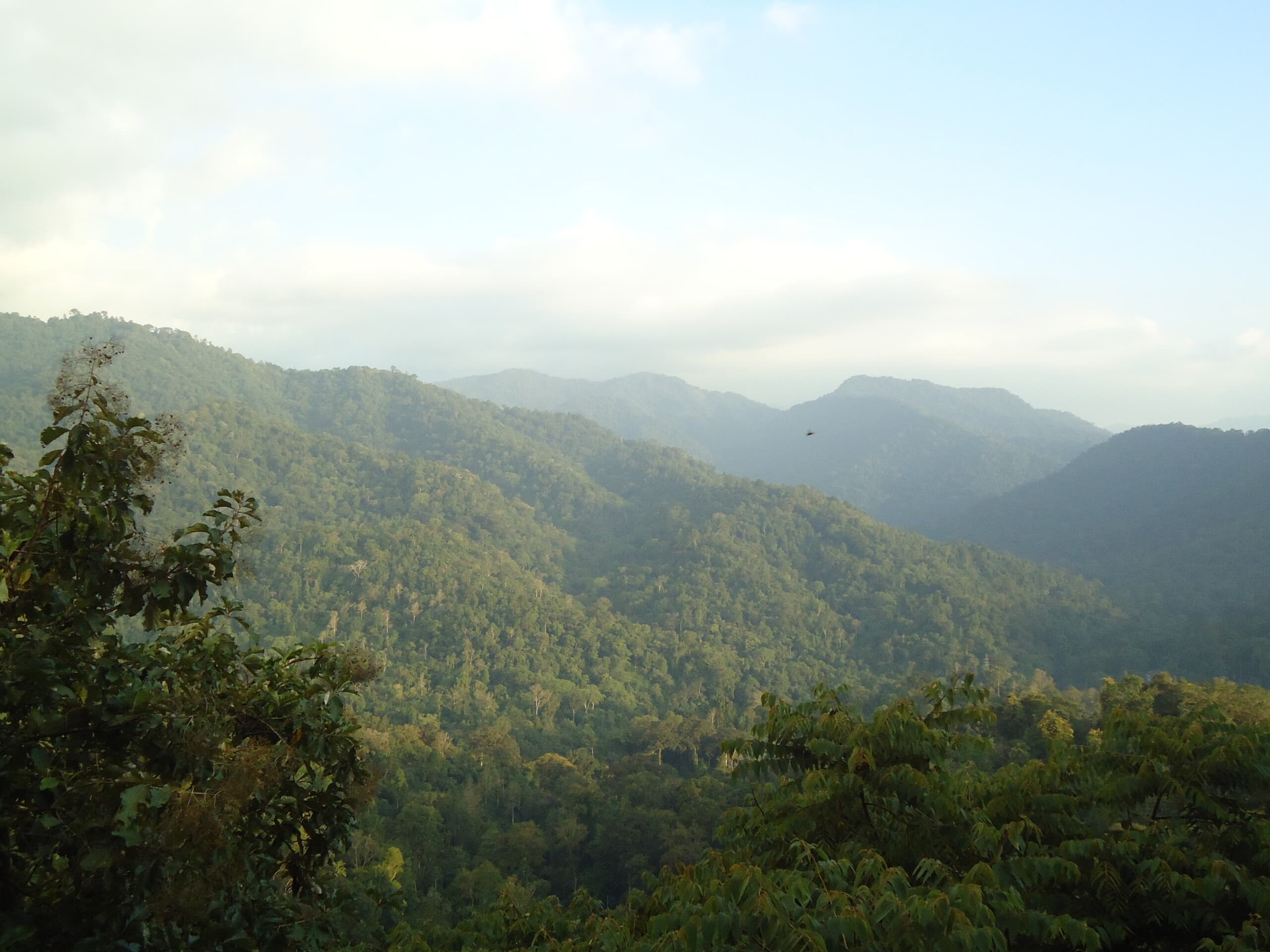 Sabarimala Temple
