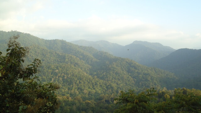 Sabarimala Ayyappa Temple Temple