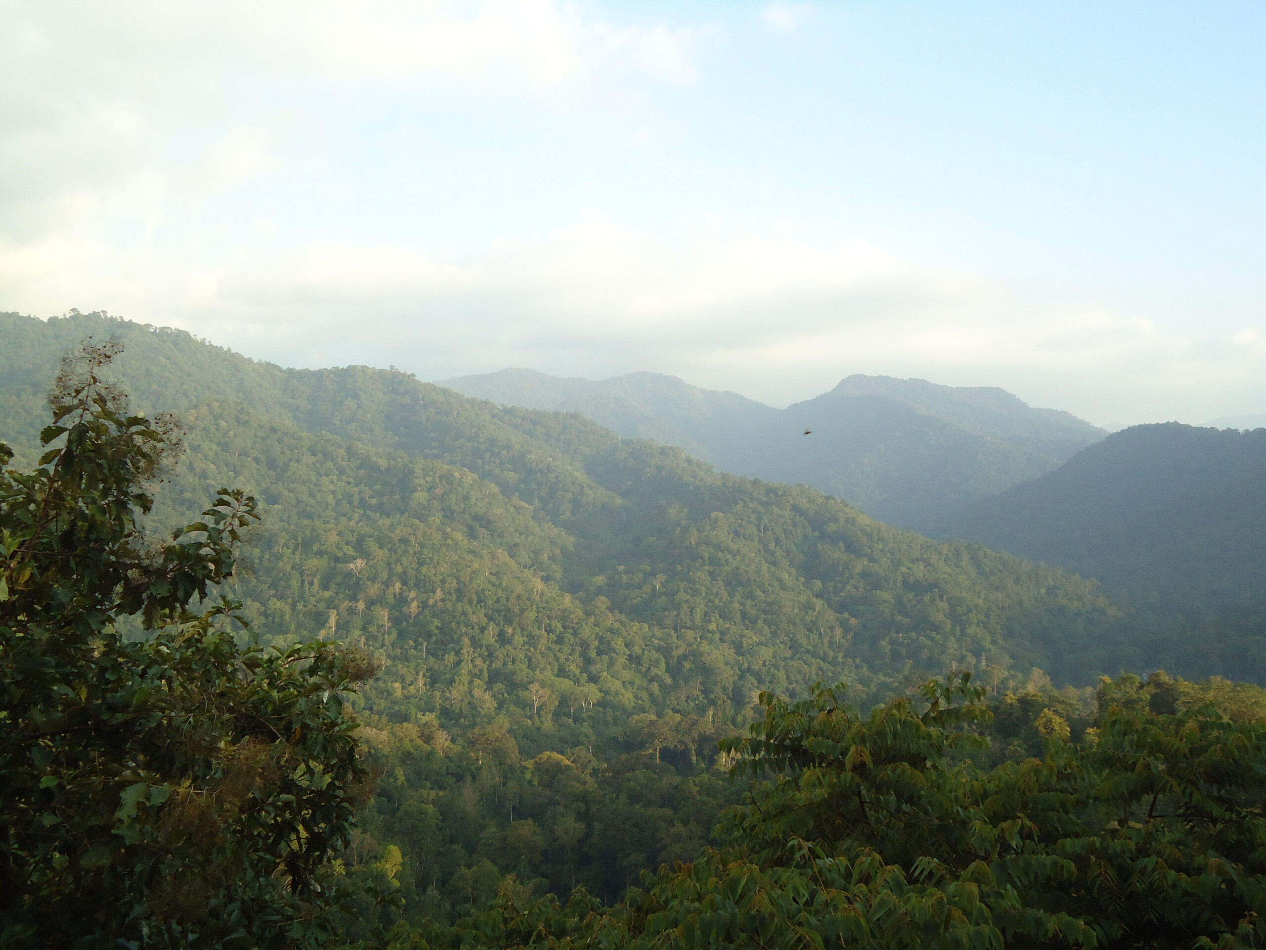 Sabarimala Ayyappa Temple
